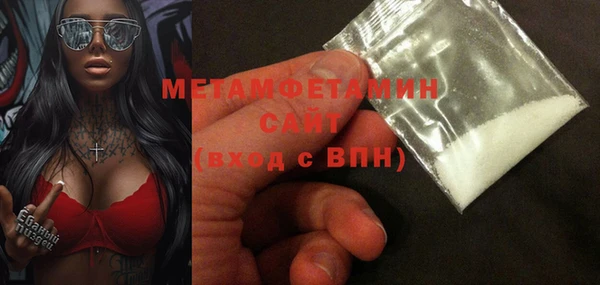 индика Ельня