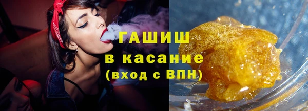 индика Ельня
