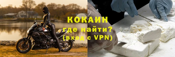 индика Ельня