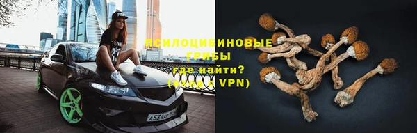 винт Елабуга