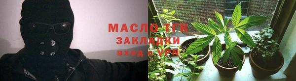 индика Ельня
