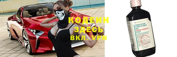 индика Ельня