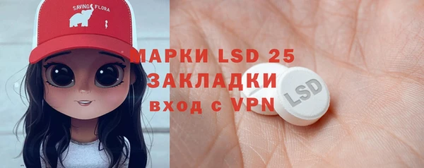 индика Ельня