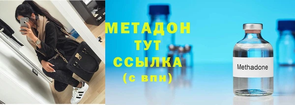 индика Ельня