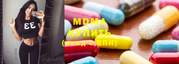 индика Ельня