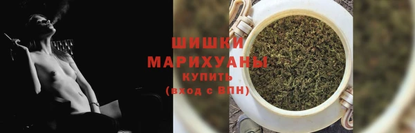 индика Ельня