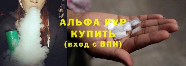 индика Ельня