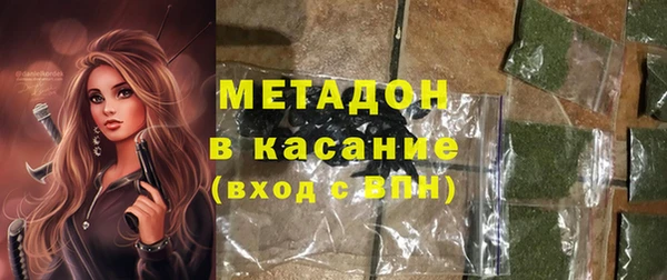 индика Ельня