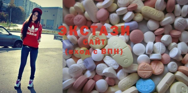 индика Ельня