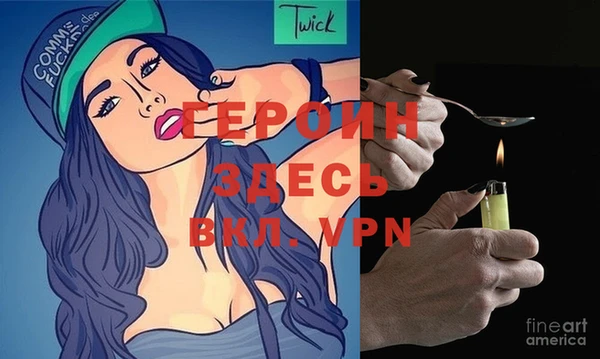 индика Ельня