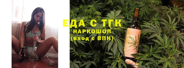 индика Ельня