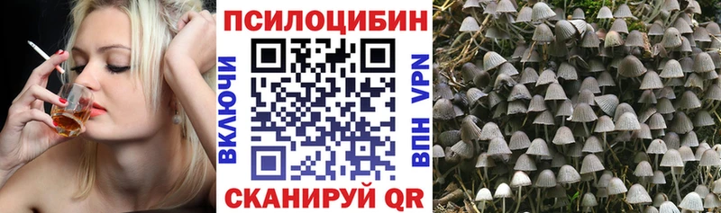 Галлюциногенные грибы Psilocybine cubensis  Новый Уренгой 